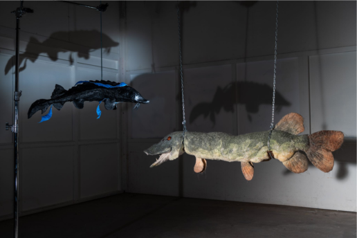 Inga Hirsch: Pech, der Hecht - Vrijdag & Zaterdag